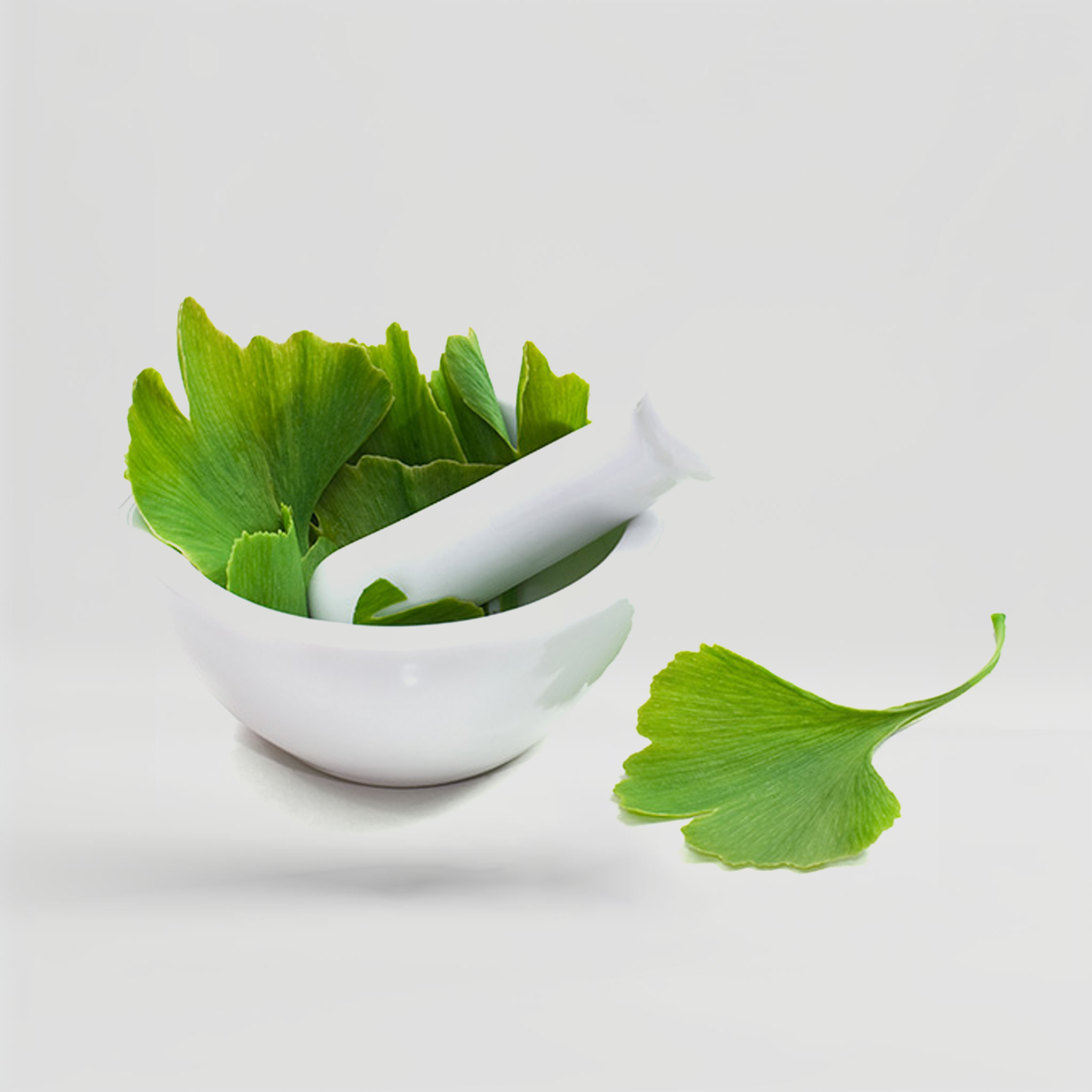 Mason Vitamins Ginkgo Biloba - 180 Capsules